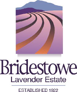 Bridestowe Lavender