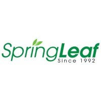 Spring Leaf Premium